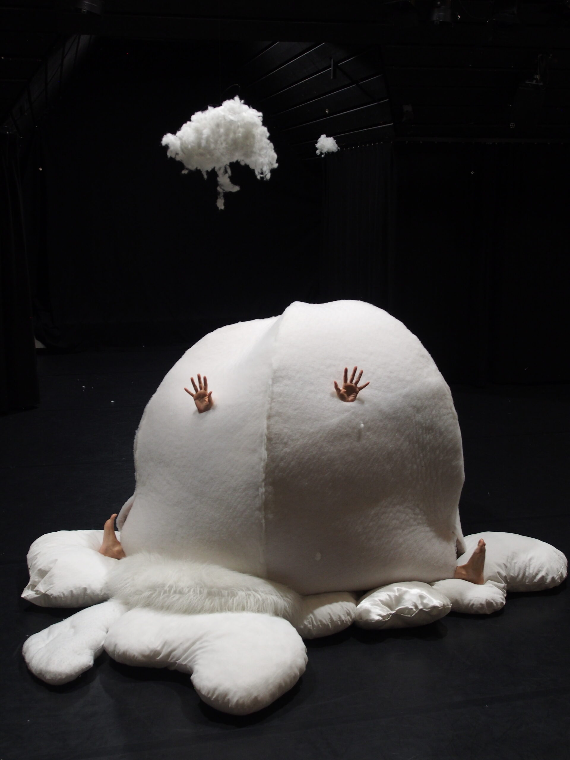 Chuessi c Linda Rothenbuhler P1010220