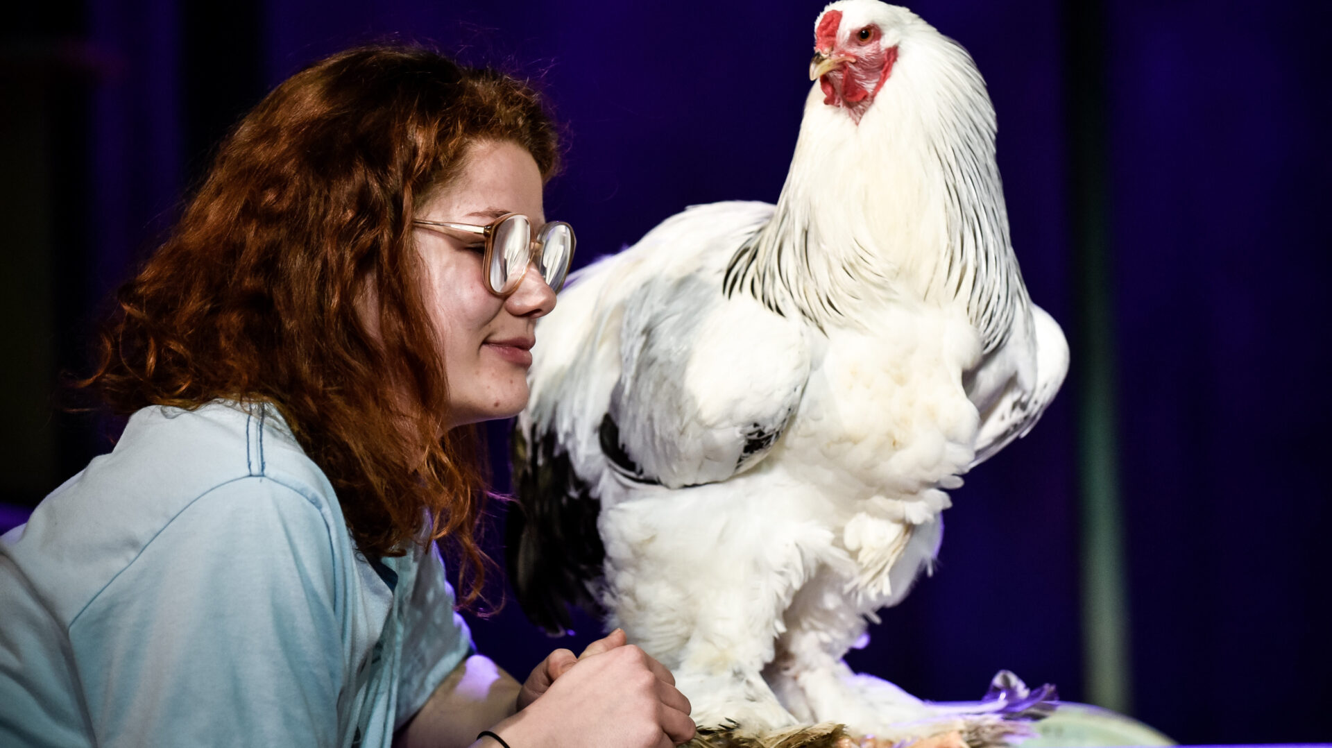 Glasmenagerie 7 c Arno Declair