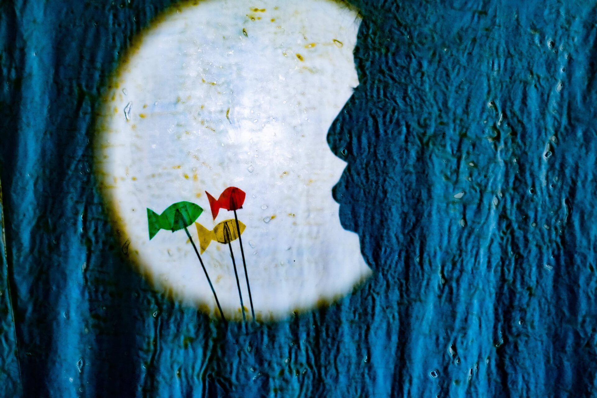 Probe 3kleine fischlein meer 19 September 2022 BILD DSCF0361 Stephan Teuwissen