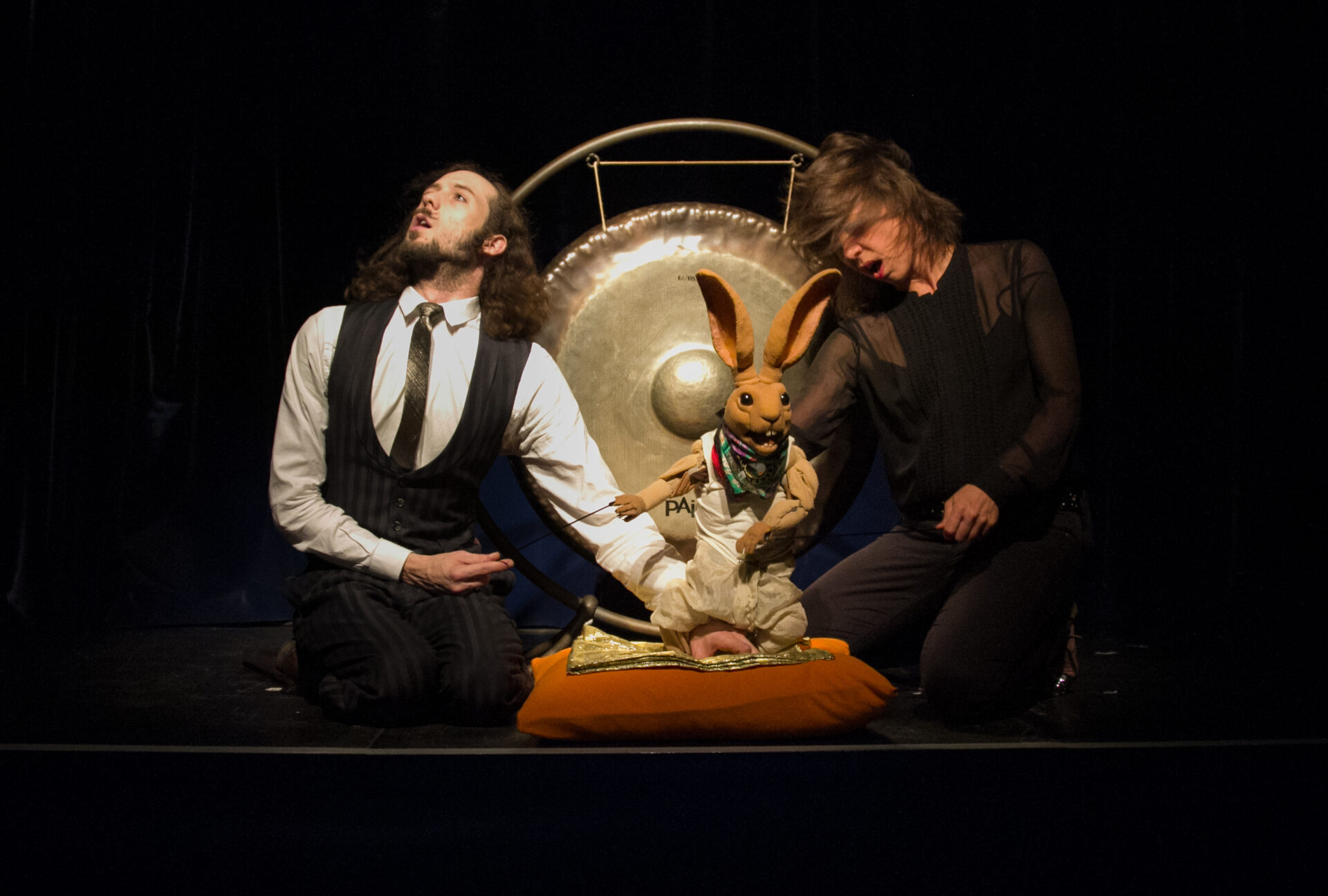 Jahrmarkt der Vernunft