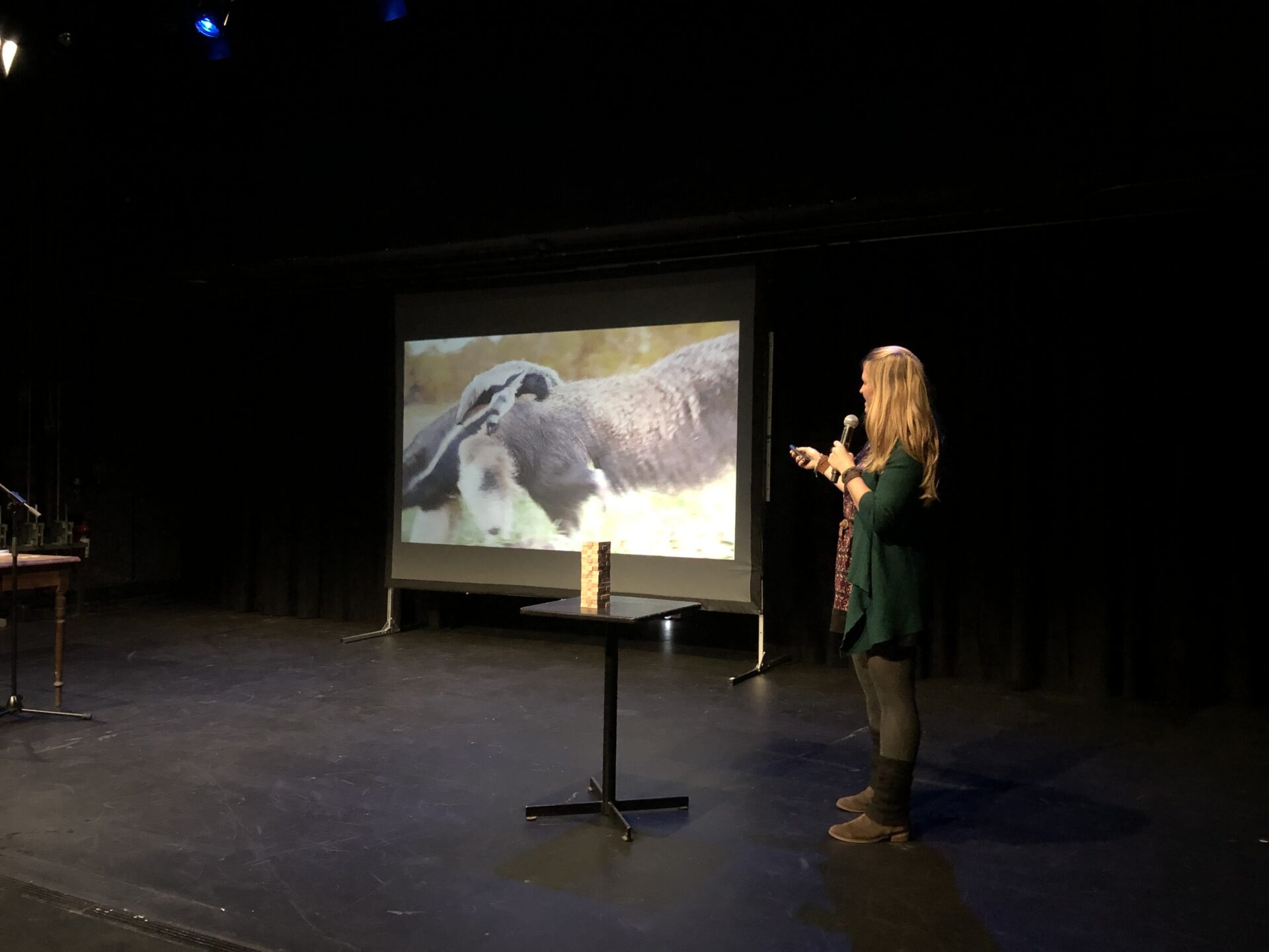 Buehne Aarau Alte Kanti Kultur Science Jam